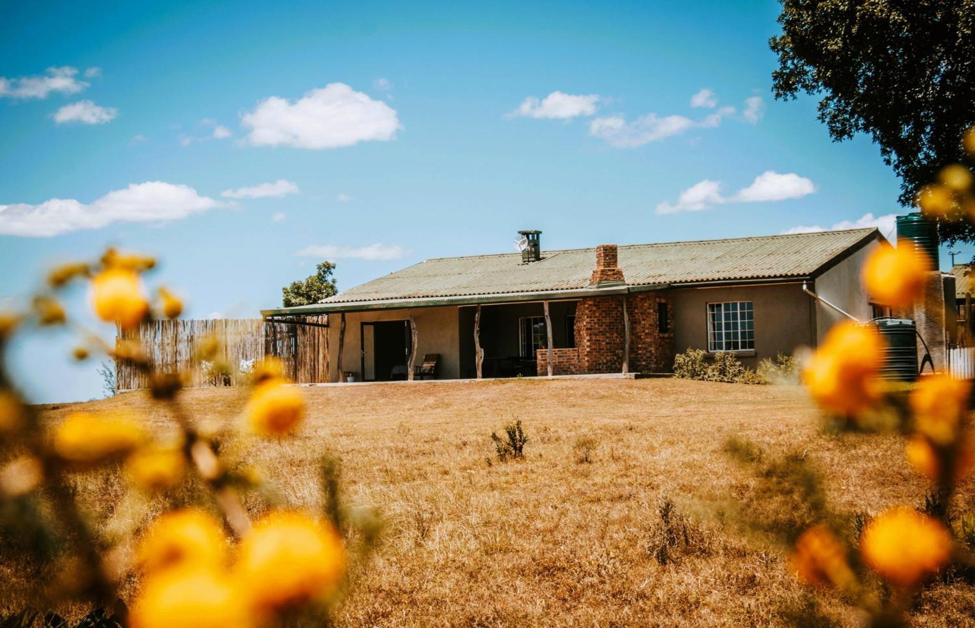 The Ranch House At African Safari Lodge Grahamstown Kültér fotó